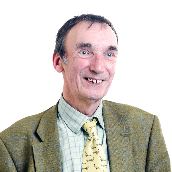 David Thorpe