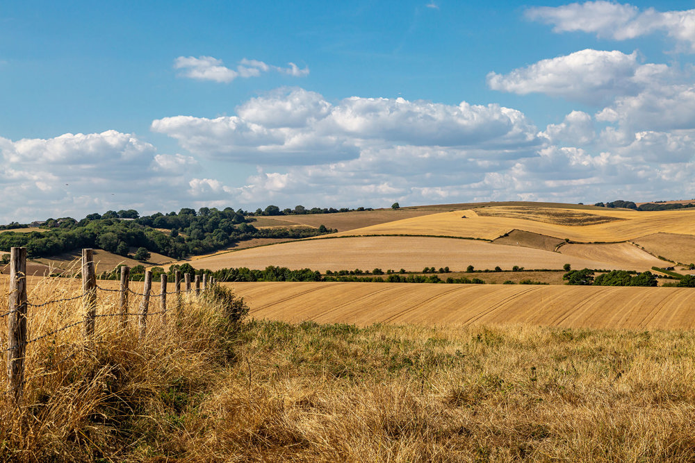 Uk farms agflation