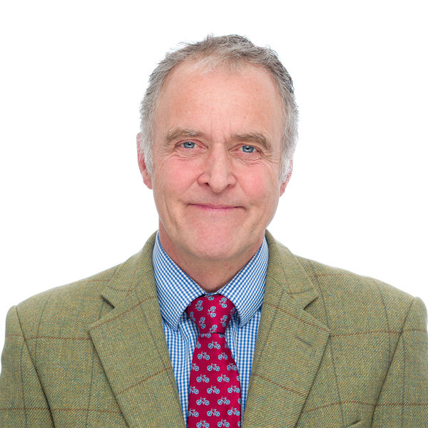 Andrew Curtis