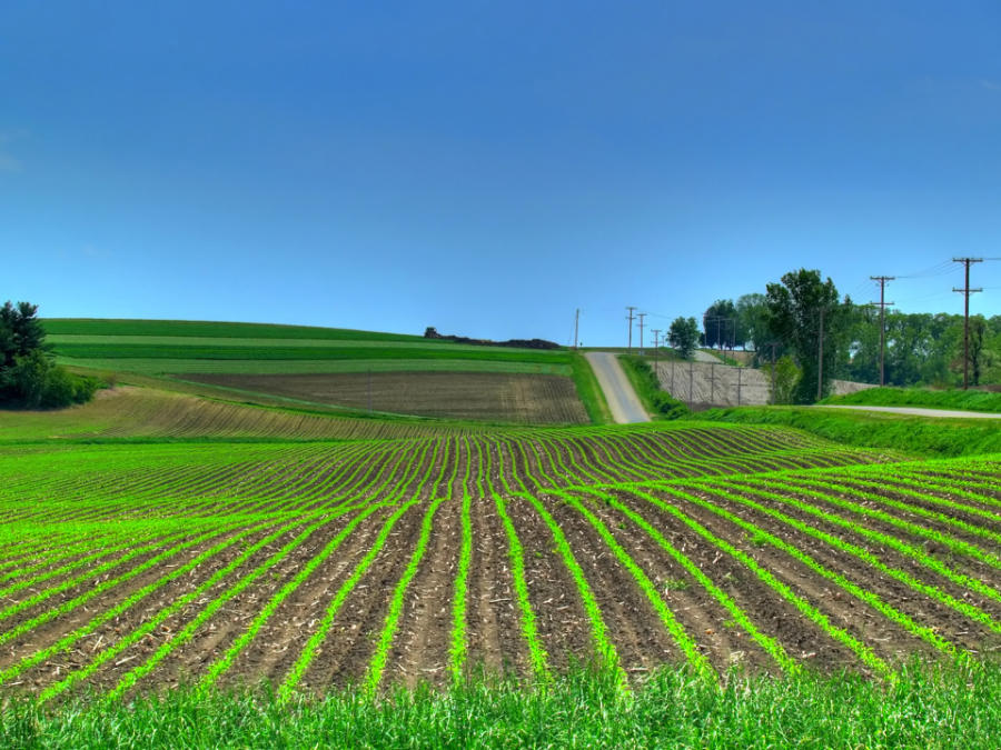 Rural valuation
