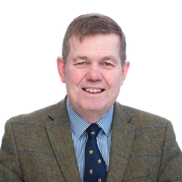 Tim Fox