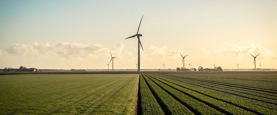 Carbon & Energy